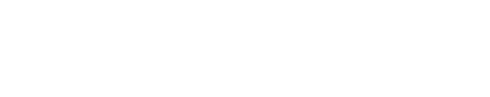SibUS-In® — Safe Injection by Ultrasound
